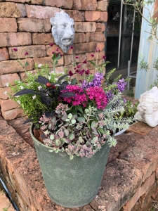 寄せ植え教室