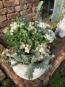 寄せ植え教室