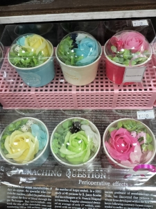 スタッフブログ