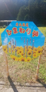 ひまわり畑