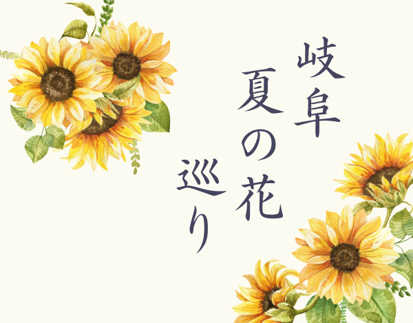 岐阜夏の花