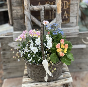 寄せ植え