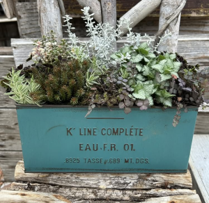 寄せ植え