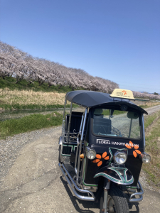 平野井川