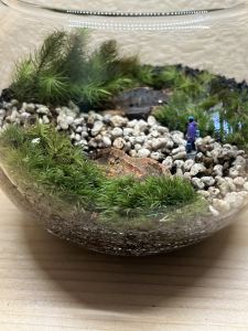苔テラリウム