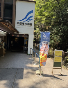 滝