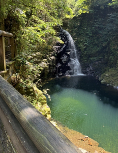 滝