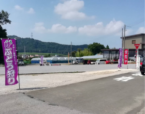 ぶどう狩り
