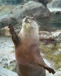 鳥羽水族館