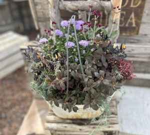 寄せ植え