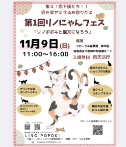 リノポポキ