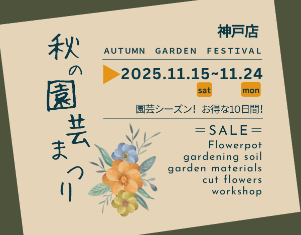 秋の園芸まつり