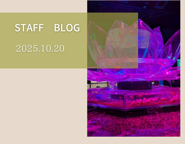 スタッフブログ