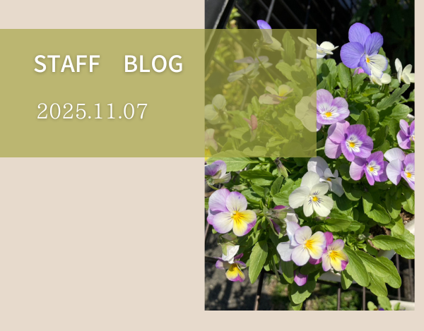 スタッフブログ