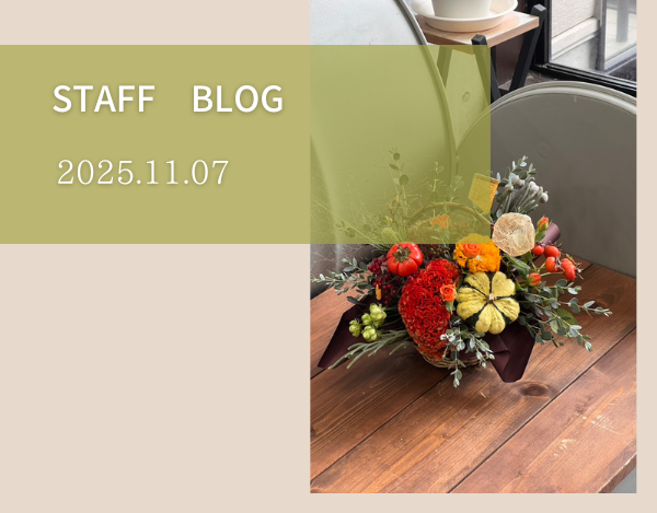 スタッフブログ
