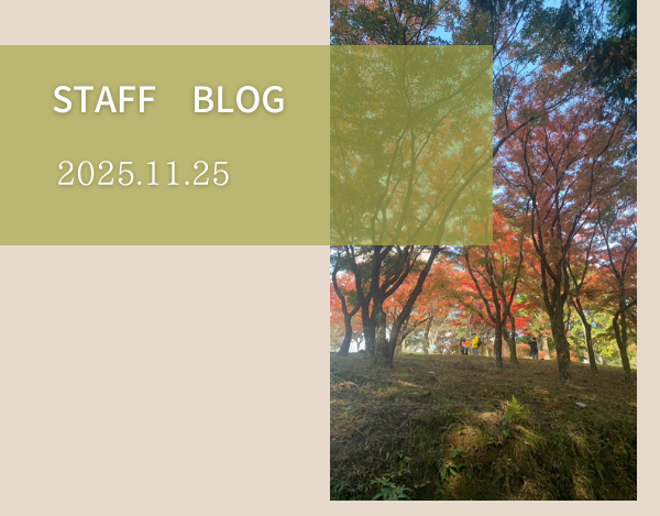 スタッフブログ