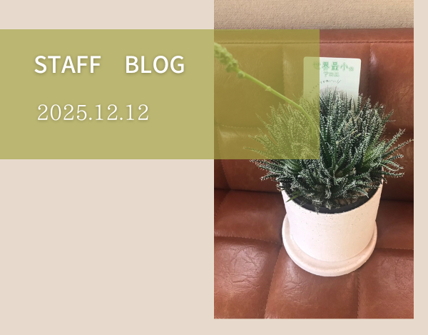 スタッフブログ