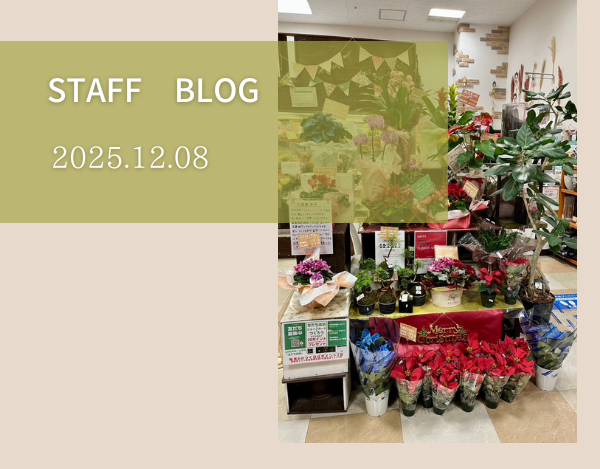 スタッフブログ