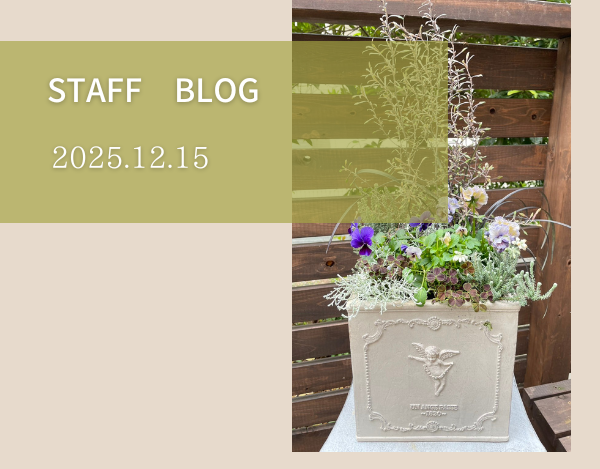 スタッフブログ