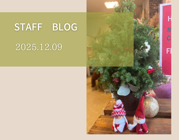 スタッフブログ