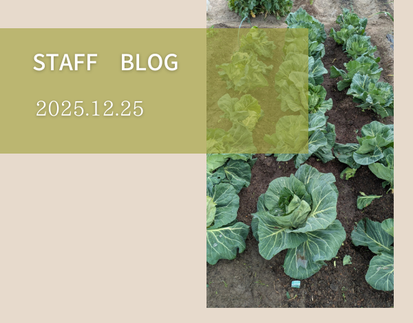 スタッフブログ