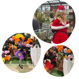 コスプレコレクション