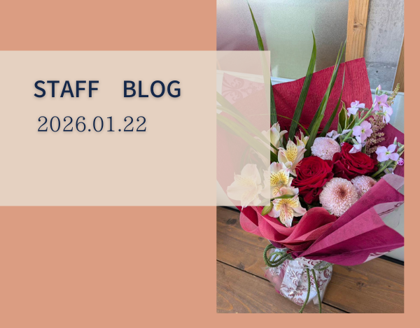 スタッフブログ