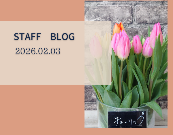 スタッフブログ