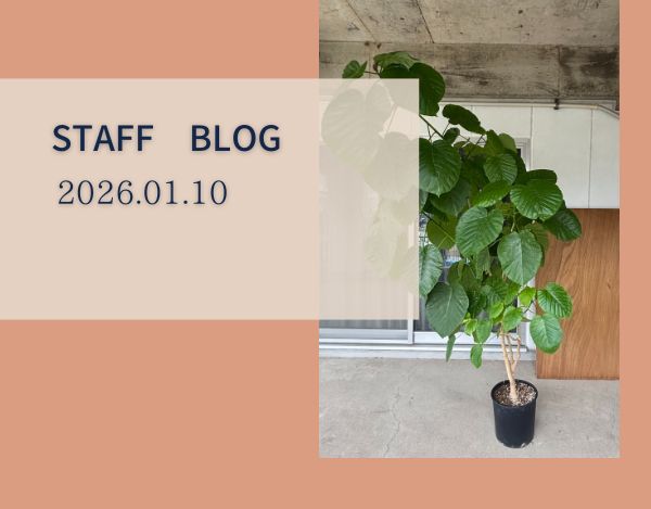 スタッフブログ神戸店2026.1.10