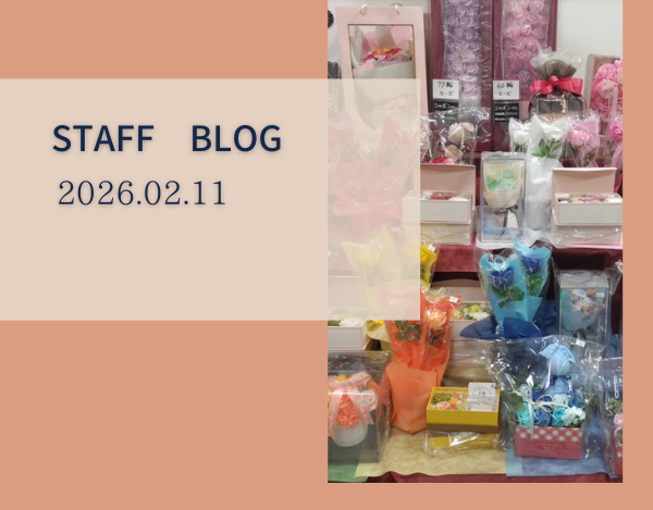 スタッフブログ