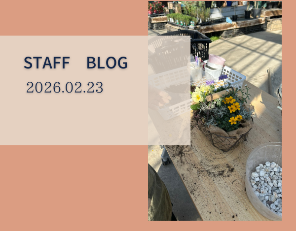 スタッフブログ