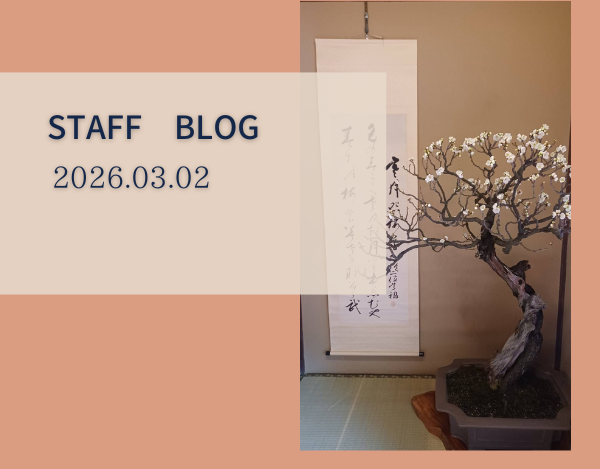 スタッフブログ