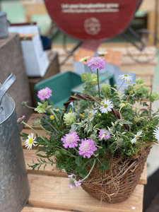 プランツギャザリング