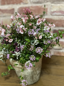 プランツギャザリング