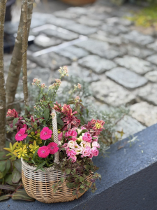 プランツギャザリング