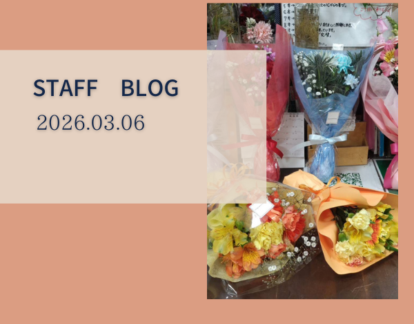 スタッフブログ