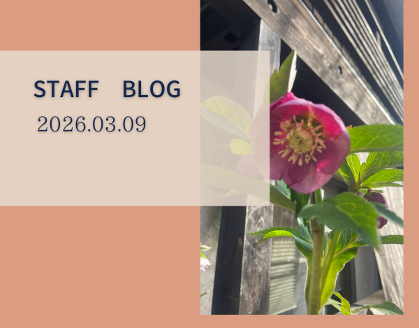 スタッフブログ