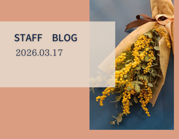 スタッフブログ