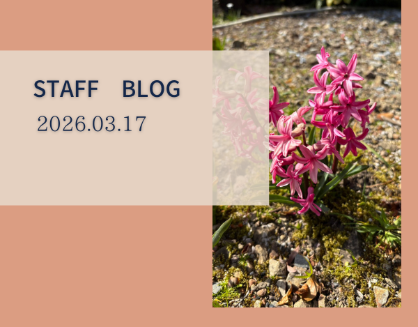 スタッフブログ