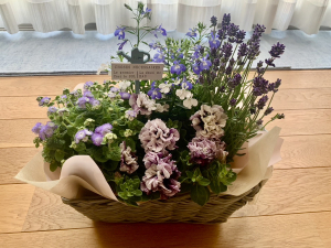 寄せ植え