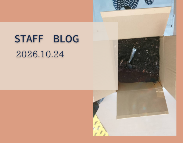 スタッフブログ